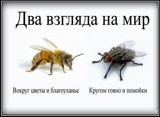   ,   ... , 