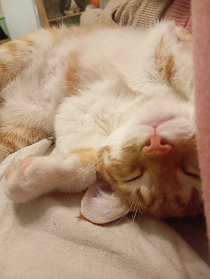  :3 ,  , ,  ,   ,  , , 