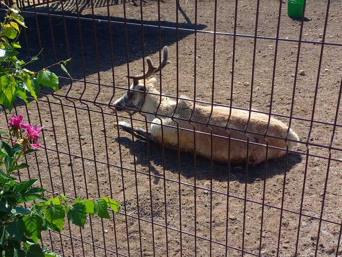 ��� ��� �� �����, �������� �����....