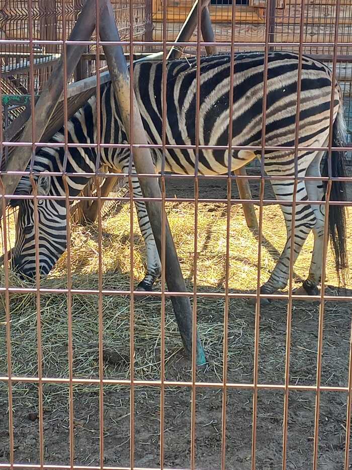 ��� ��� �� ������ � �������, ��� �����!