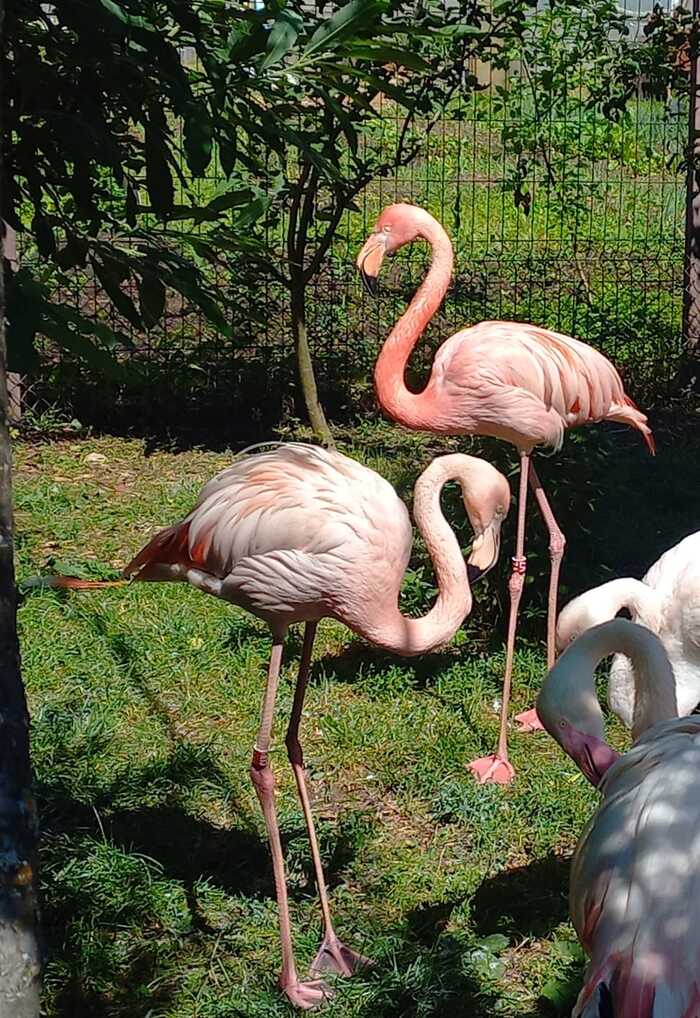 ��������� ��������, �������, �� � ����� �������, ������ ��� ���� ������� �����.