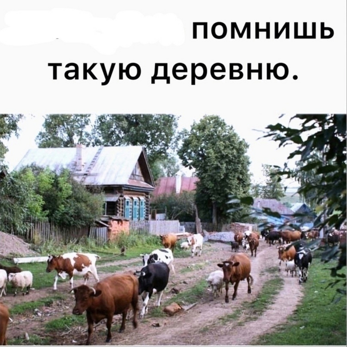       ,   ,   , , , , ,   ?