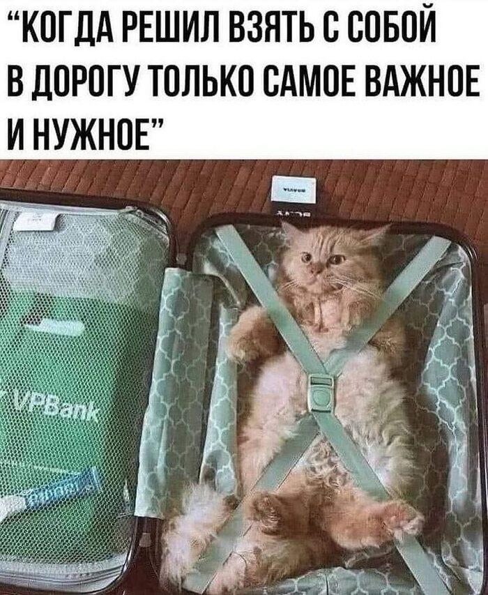 ,      , , ,   
