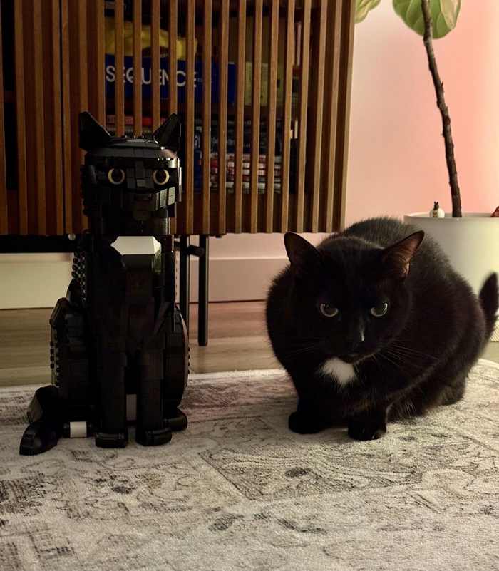    , ,  , ,  , , , LEGO, 