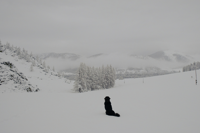 �����-����������� ��������. ������ ��-�����, ���������� �����.