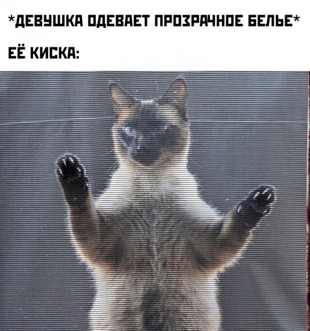 Зато тепло)