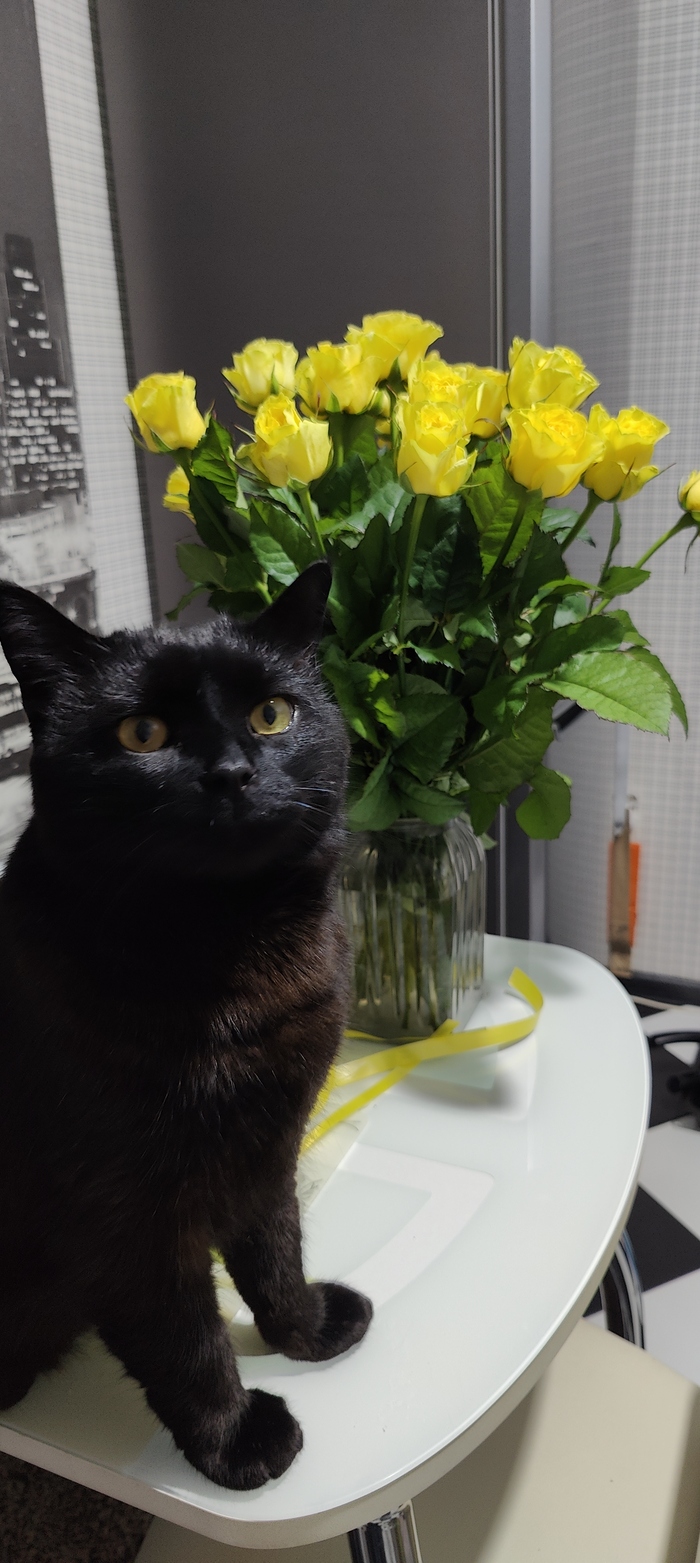 � ���� ���� ��������!