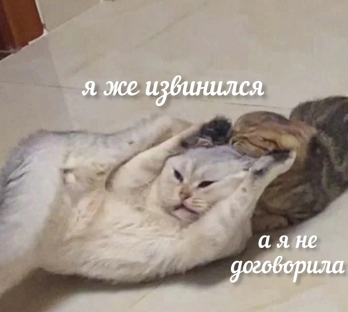  , , , , Telegram (),   