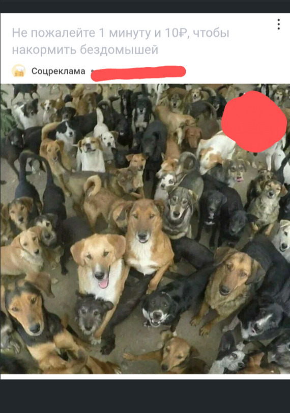 Реклама на Пикабу