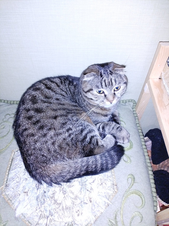 �� � ������� ��� ���. ��� ���� ������ �� ���������. 