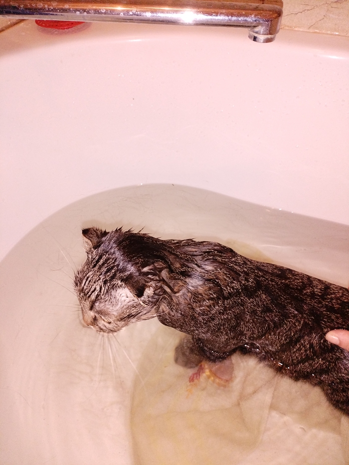 ������ � ����� ������ ����� �� �����, �������� ���������� ���������� ������������.