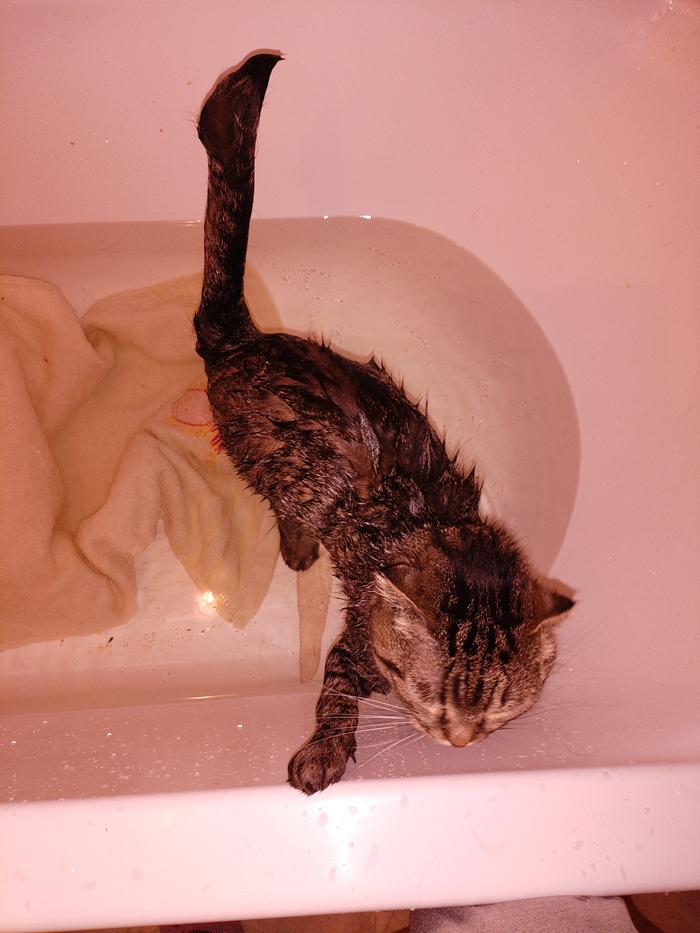 ����� �������� �� ����� : �� ��� ���� �� ����. �� ������ ����������� - ��� �������� �������.