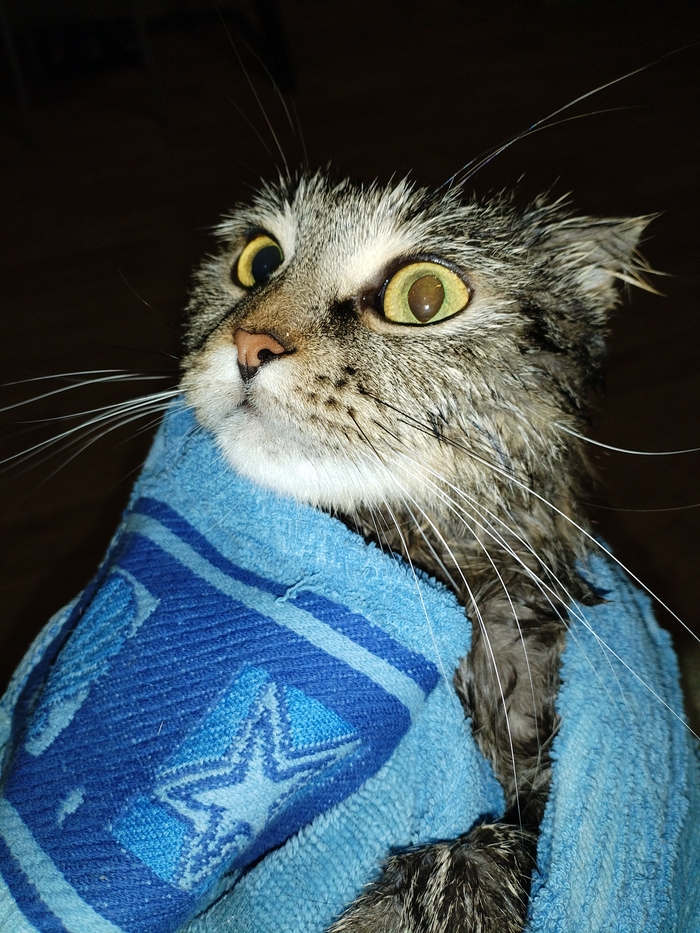 � ���� ������ �� ��������.