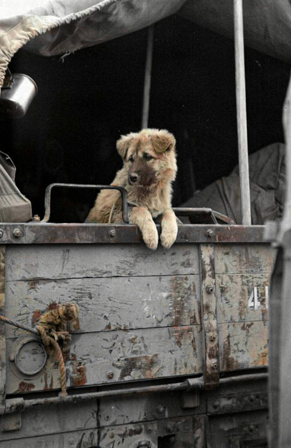 Любопытные фотографии из прошлого стран Азии. 20 раскрашенных фотографий ХХ века. Часть III Историческое фото, Старое фото, Корея, Вьетнам, Китай, Япония, Азия, 20 век, Фотография, Колоризация, Длиннопост