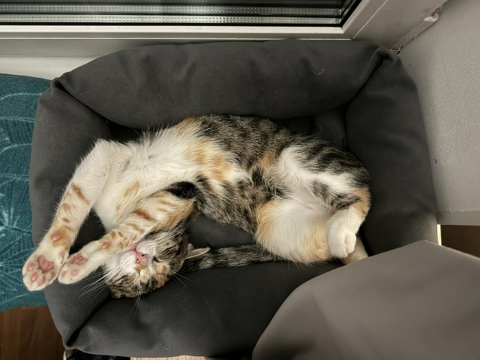 Играл, играл, устал. Я спать, а Вы?