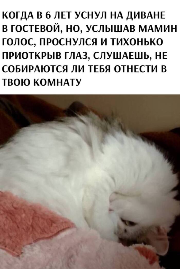 )) , , , ,   , Telegram ()