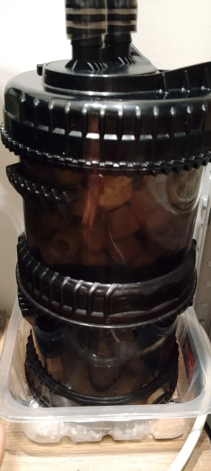 Continuation of the post Continuation of the post Continuation of the post Adult Videos - My, Aquarium, Mobile photography, Aquarium, Water filter, Video, Short videos, Reply to post, Longpost, A wave of posts