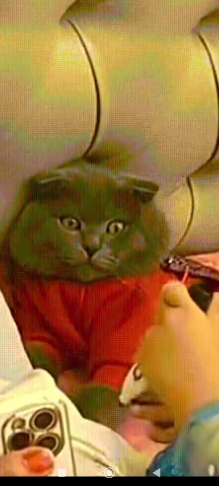        ,   , , 
