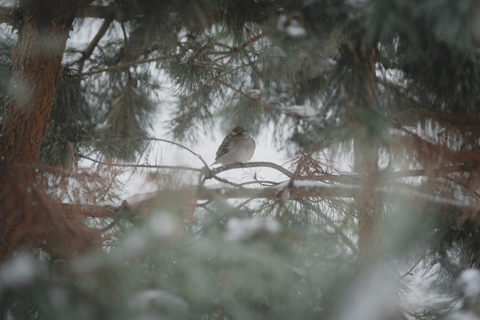 ����� ���� ������� ��� �� ������, �� � ������ ����� �����������