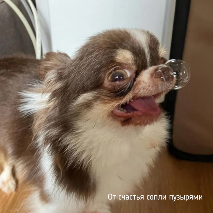 Тот случай, когда не в переносном смысле