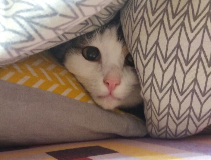  ,  ? ,  , ,  , ,  , , , ,  