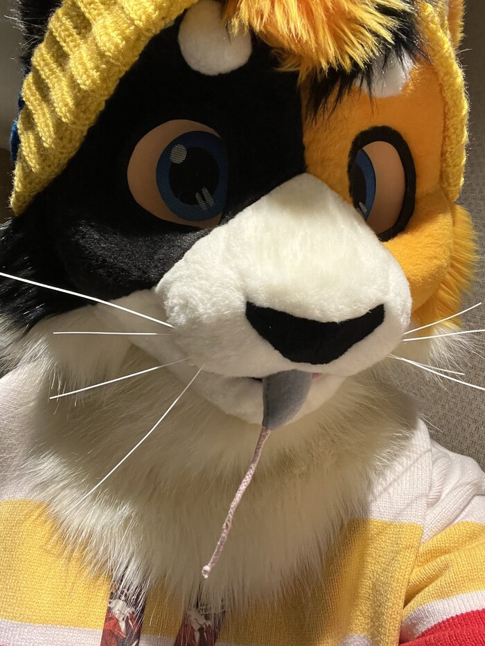   , , Furry Cat, Furry Feline, , , 