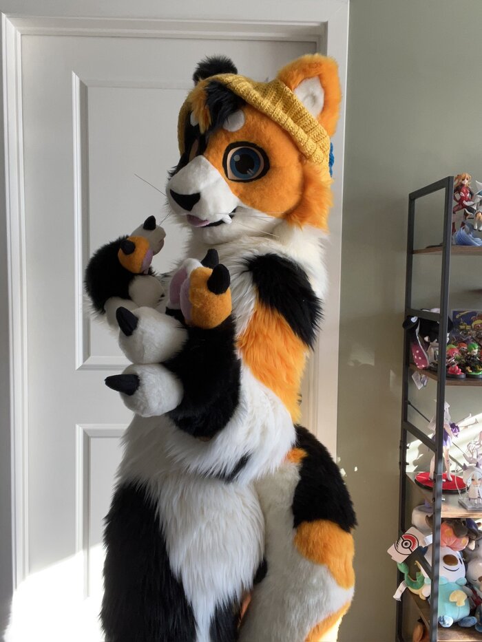   , , Furry Cat, Furry Feline, , , 