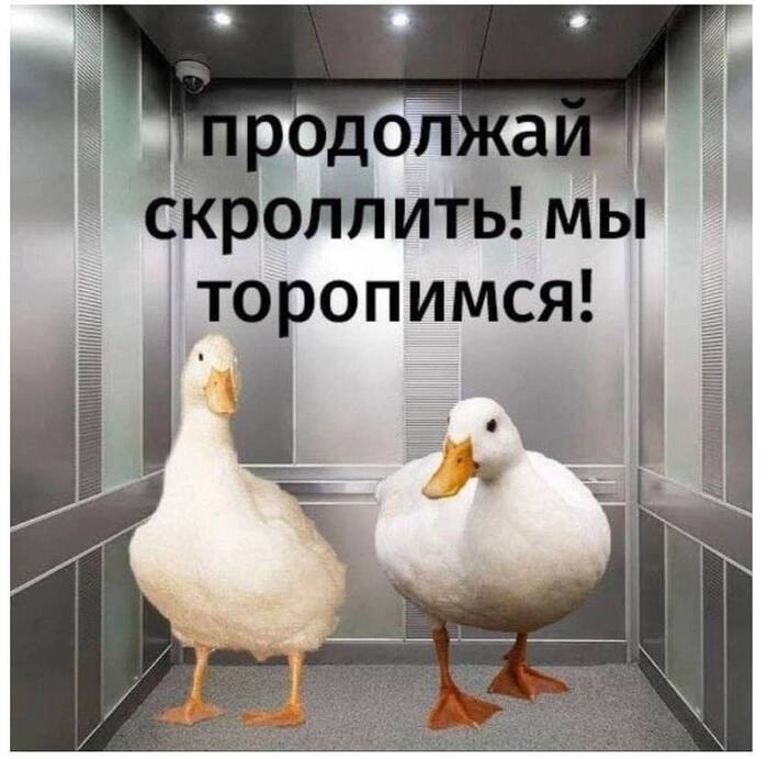 ��������� ���������