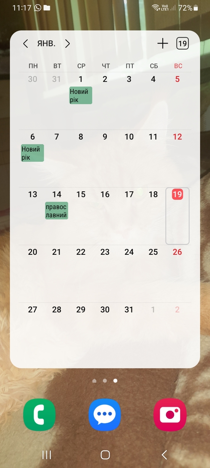 ��� ���������  ������-�� ���� ���������� ���������� ���������?