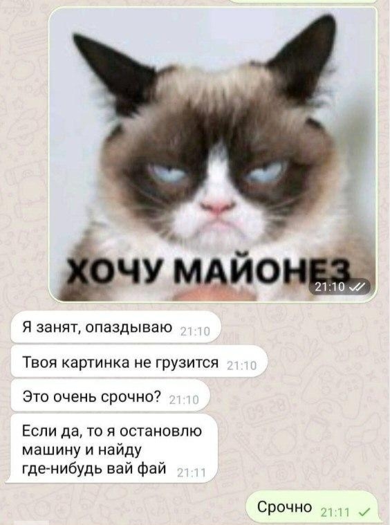 ����� �����)