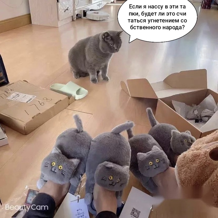   , ,  ,  , , , ,   , 