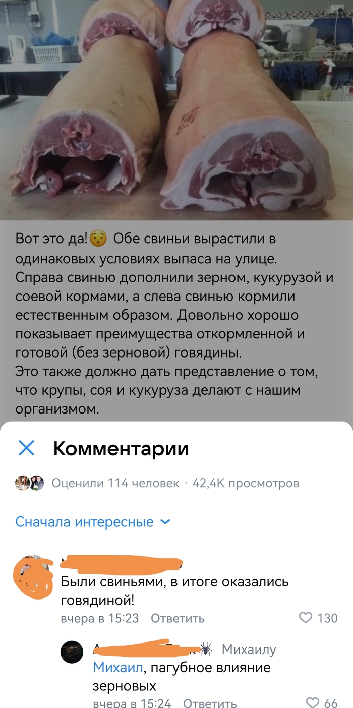    , , , ,  , , , , , 
