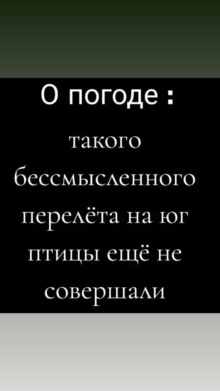 ������ �����