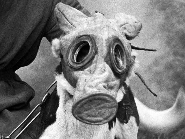 ���� � ������