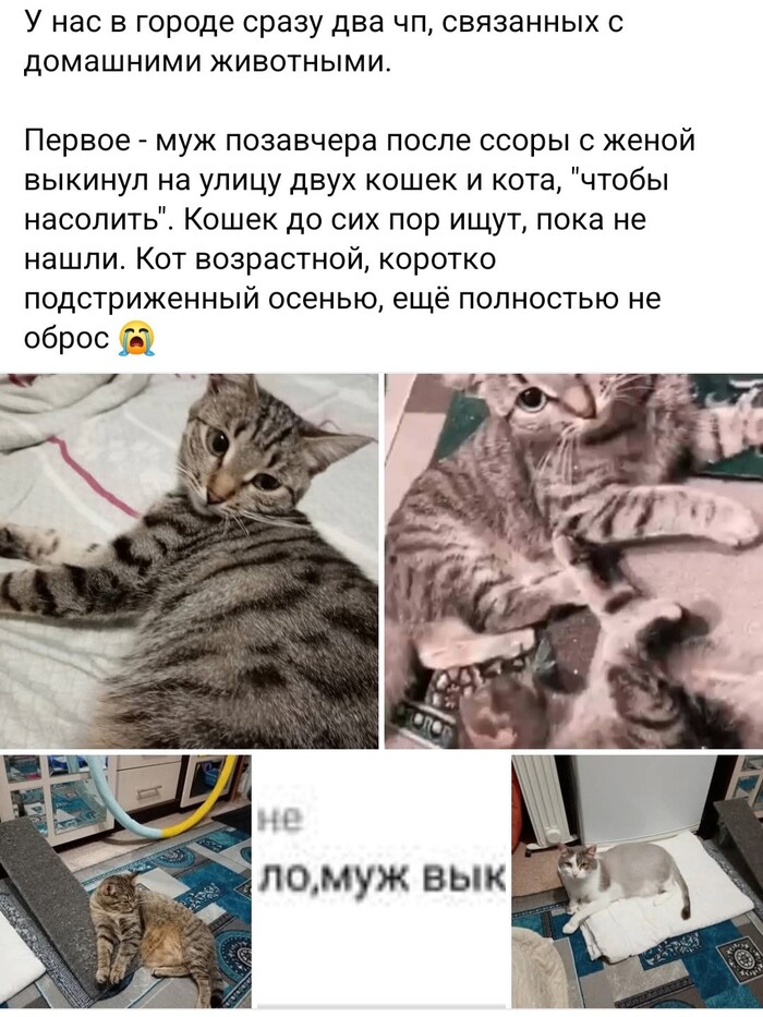  !   ,    ,  ,  , , 