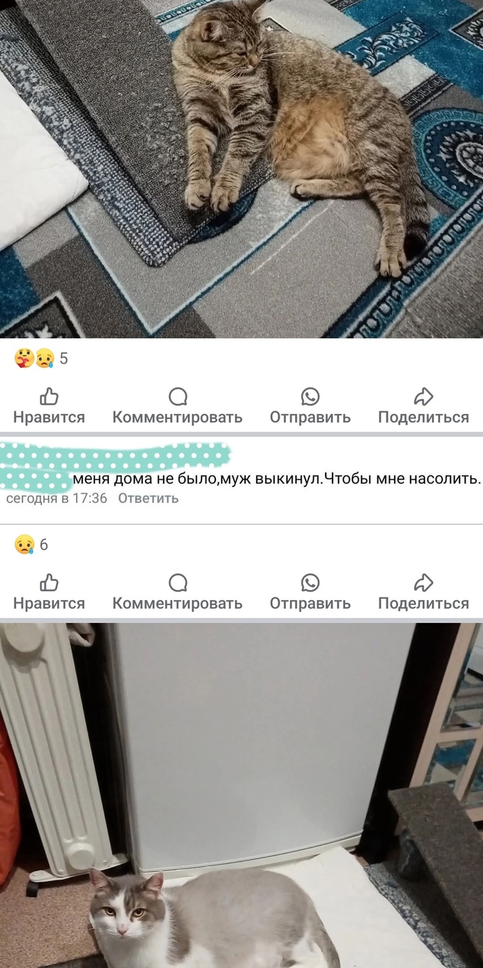  !   ,    ,  ,  , , 