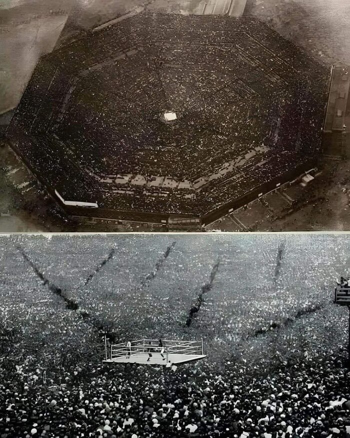   1921        , , , 