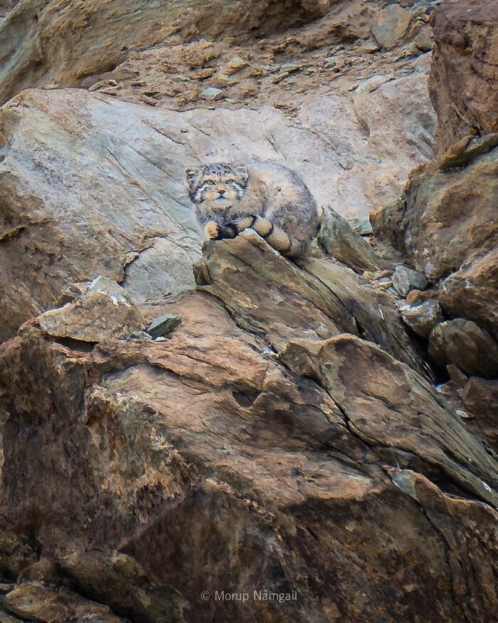 Малыш ждёт маму