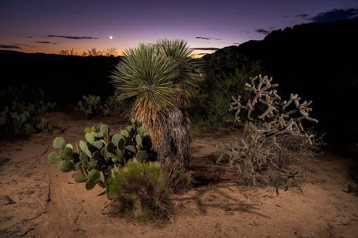 Ночной пейзаж