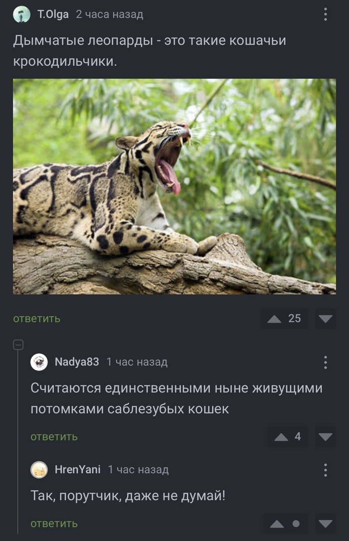      ,  , ,  ,   