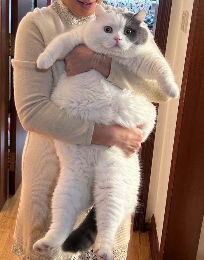  , ,  ,  , 
