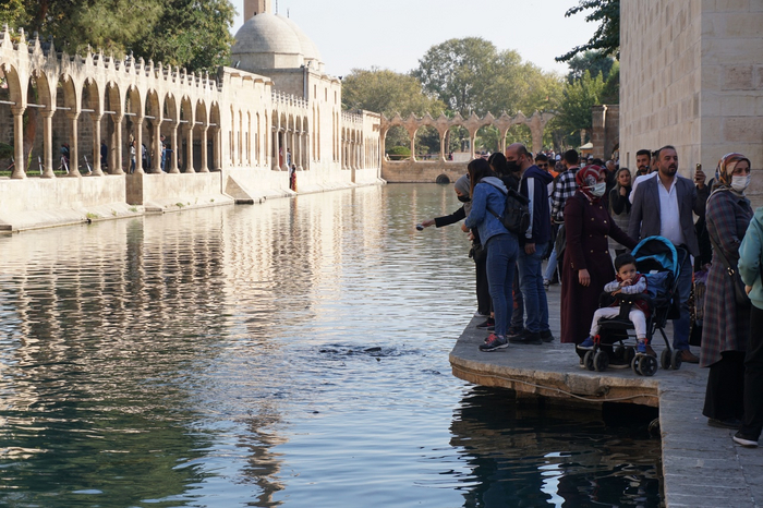 Люди кормят карпов в надежде, что приплывет рыба белого цвета. Это типа гарантированная путевка в рай.