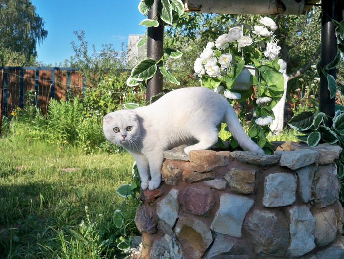  "" -,        ,  2009  .   ,        .  , ,     16 .