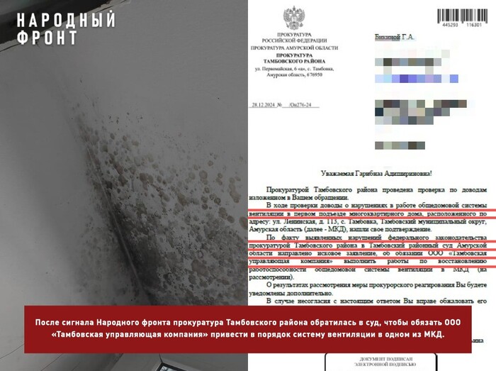 Прокуратура Тамбовского района отреагировала на сигнал Народного фронта о многодетной семье, которую переселили в квартиру с плесенью