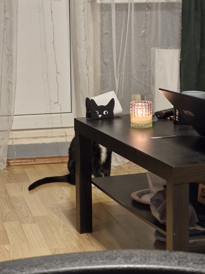 Безупречная маскировка