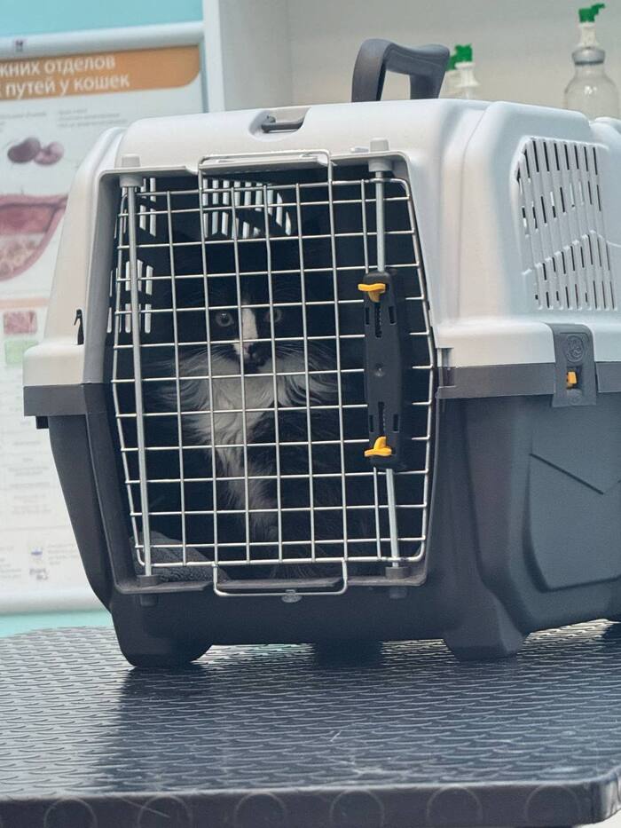 Ты только открой, я тут все нахер разнесу.