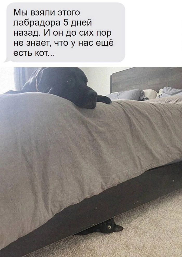 И не узнает
