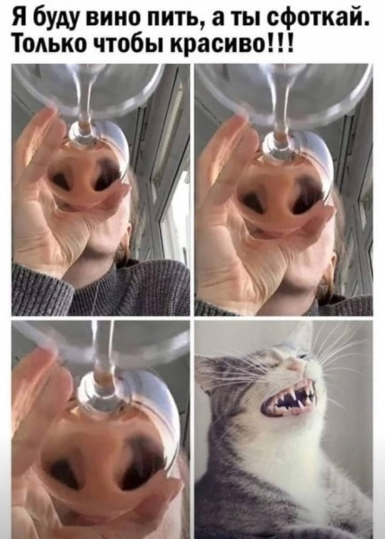     ,  ,    ,    ,   , 