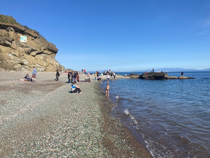         ,               .     15    . 