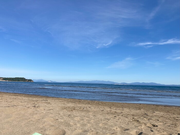    "" .  .       .          .       . 